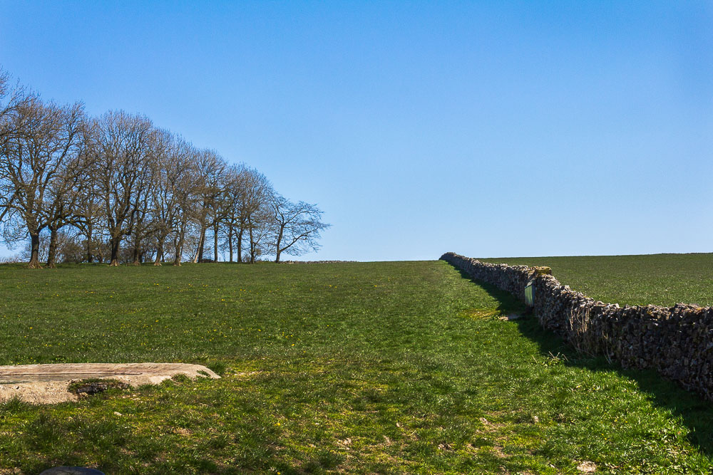 High Field High Field